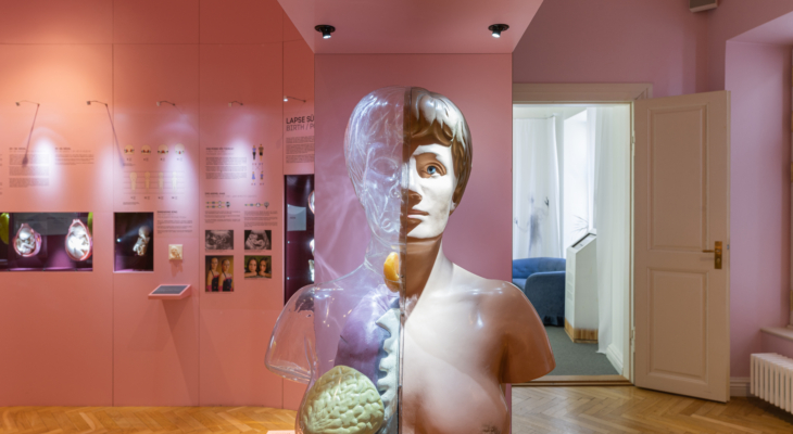 4. Klaasnaine_Eesti tervisemuuseum.jpg koopia