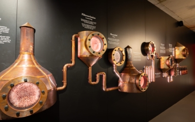 Õlle tootmine samm-sammult_ Jaak Jänes