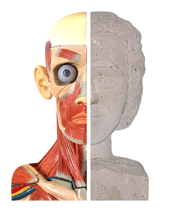 muuseumikaart_pead_kujutis_620x700px_eng