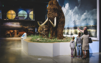 The Ice Age Centre