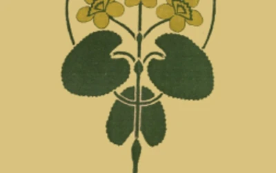 11. kevade esmatrüki kaas 1912