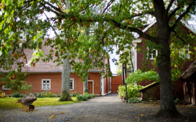 Kreutzwald Foto Margus Muts (1)
