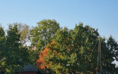 Viimsi vabaõhumuuseum 6