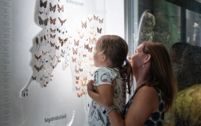 visualista.ee_Loodusmuuseum_02_0022_3500