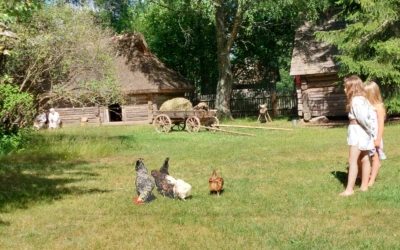 Mõniste, atraktsioonid värskes õhus, erakogu