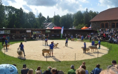 Sihtasutus Eesti Maaelumuuseumid
