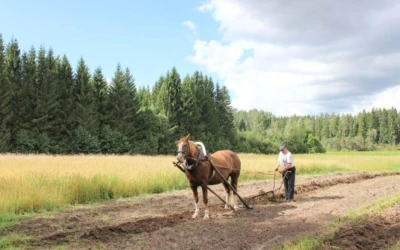Sihtasutus Eesti Maaelumuuseumid